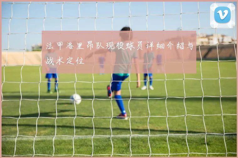 法甲洛里昂队现役球员详细介绍与战术定位