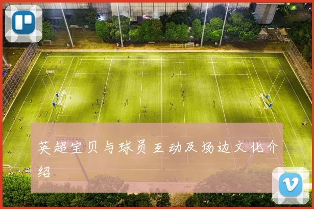 英超宝贝与球员互动及场边文化介绍