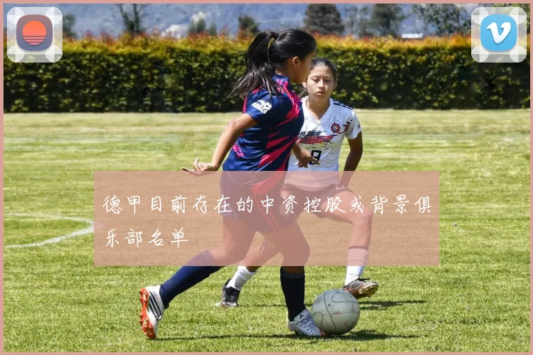 德甲目前存在的中资控股或背景俱乐部名单