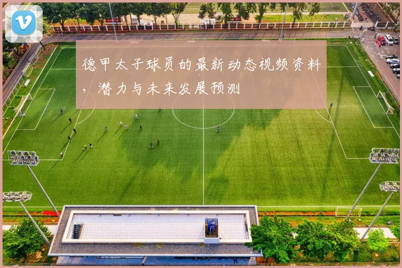 德甲太子球员的最新动态视频资料，潜力与未来发展预测