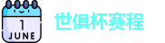 2025足球世俱杯官网